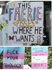 I went to Trans Pride and here’s how it went