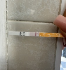 Worried about chemical pregnancy at 14dpo after two missed miscarriages
