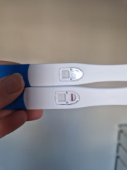 Late period and very faint positive tests, could they still be right?