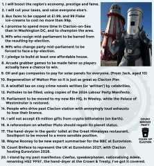 So, my postal vote arrived for the Clacton by-election...