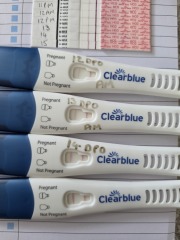 Line Progression, Symptoms & Temperature