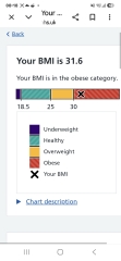 Anyone else motivated by seeing the BMI chart slider go down? Pics included. 😁