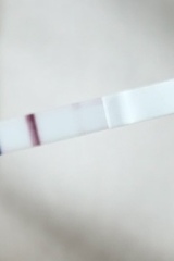 Have we timed sex well this month for TTC?