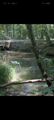 Should I worry after my son fell into stagnant water?