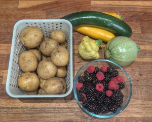 Has anyone started picking blackberries yet this summer?