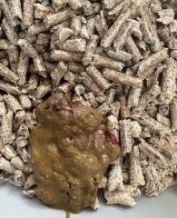 TW Photo Of Blood And Poo