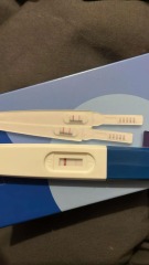 Pregnancy