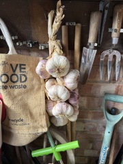 The Year Round Nigel Slater Discussion Thread - Part 5