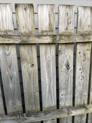 How should I treat and protect my new garden fence?