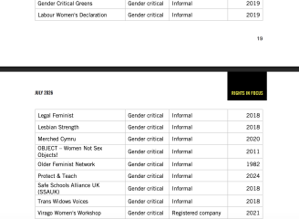 A growing threat: the anti-rights movement in the UK says Amnesty who claim over 50% are Gender Critical groups