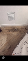 Someone died in ds flat  - marks on floor. See pics.