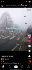 Tô be excited for the cold frosty mornings that come with early winter?