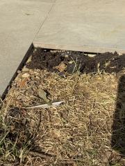New patio laid badly, am I unreasonable to complain?