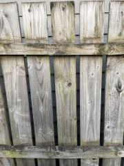 How should I treat and protect my new garden fence?