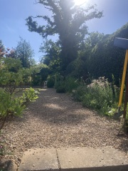The Year Round Nigel Slater Discussion Thread - Part 5