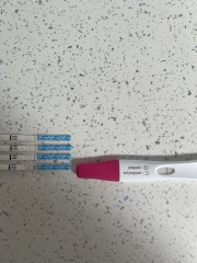 Pregnant or not? That is the question!