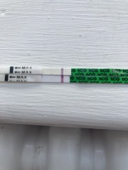 Can anyone see a line, and is this typical at 10dpo?