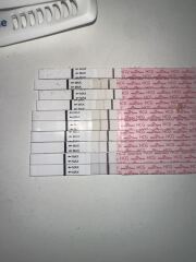 Line Progression Confusion? :(