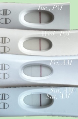 Early pregnancy anxiety over faint test lines and possible progression