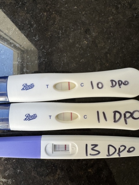 Pregnancy Test Line Progression