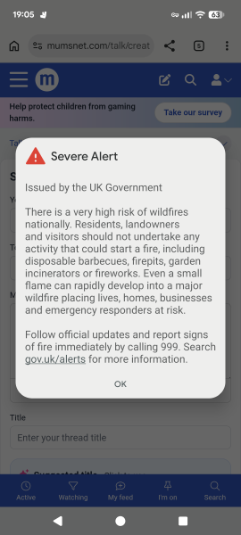 Anyone else startled by the emergency alert  today?
