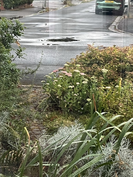 Summer 2026 (1st June ~ start of meteorological Summer)
