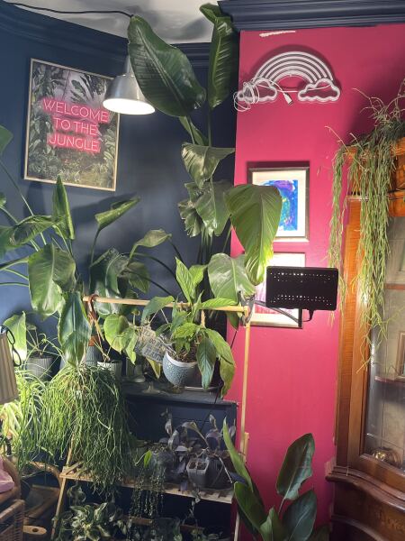 Indoor tree