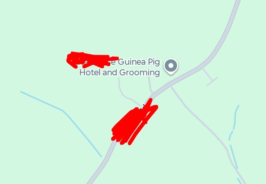 The Bluestocking Women's Pub, in which we wait excitedly for the next instalment of Gosie's adventures. Gosie, Glass and the Gerbils' Dilemma.