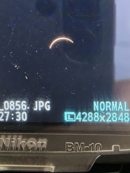 Solar eclipse this evening.