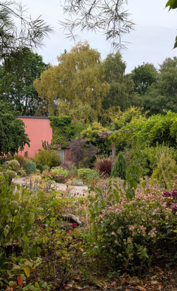 The Year Round Nigel Slater Discussion Thread - Part 5