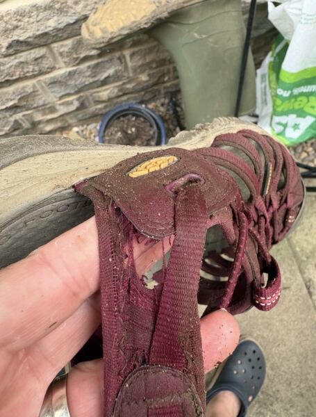 Walking sandals