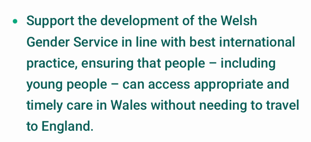 The Welsh Gender Service (WGS):  a "potential Service of Concern"