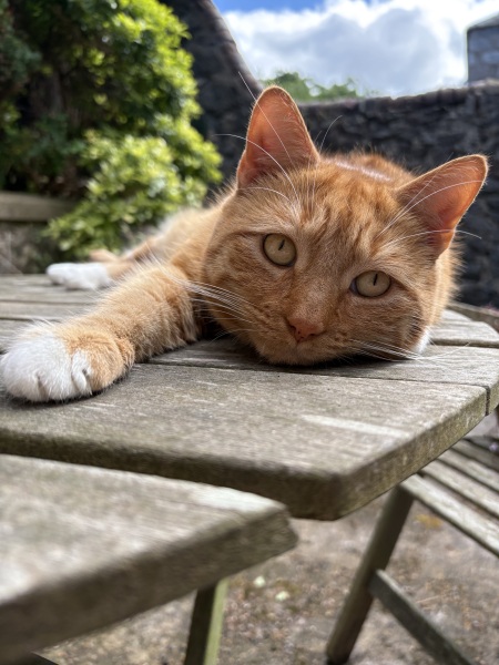 Everyone chats to Chat, right….?