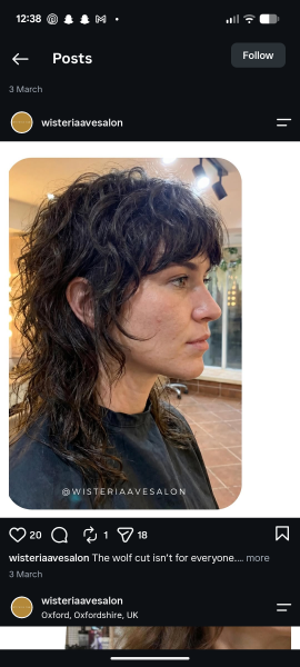 Help can daughters haircut be rescued to what she wanted?