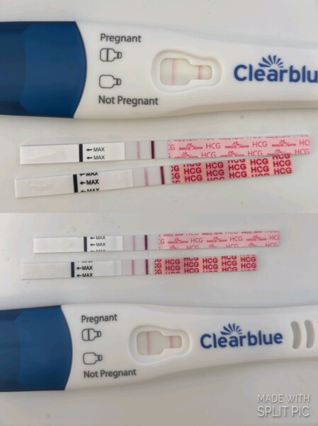 Possible miscarriage? Worried about lines and digital test