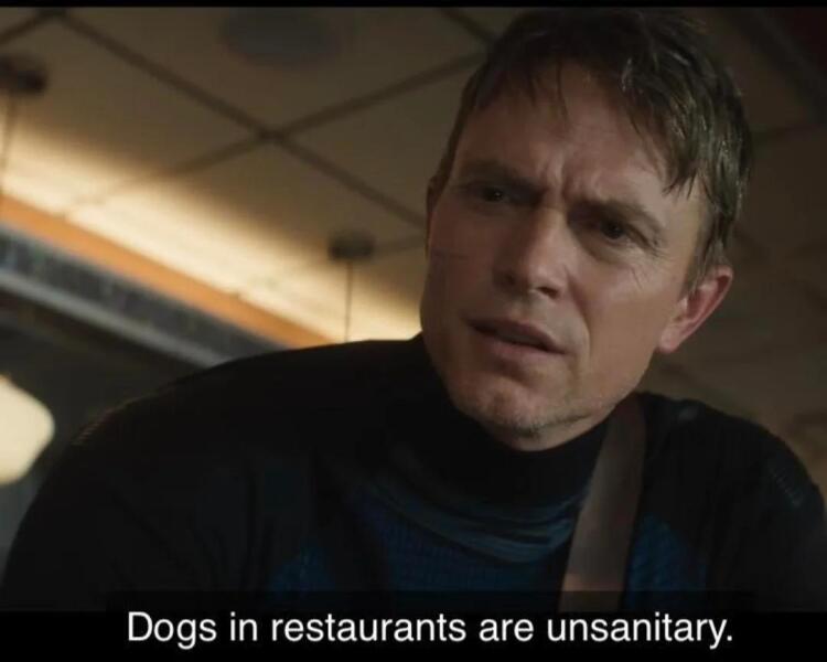 Dogs in restaurants - I am done!