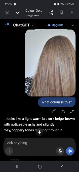 What colour is my hair (photo)