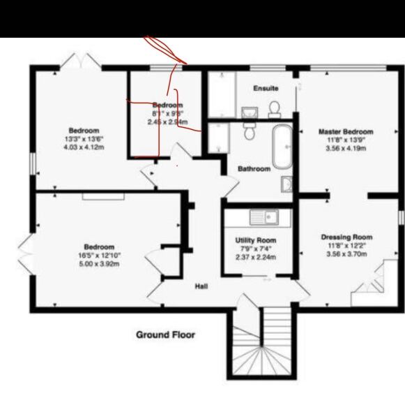 Any ideas to make this floor plan workable for a dog household?