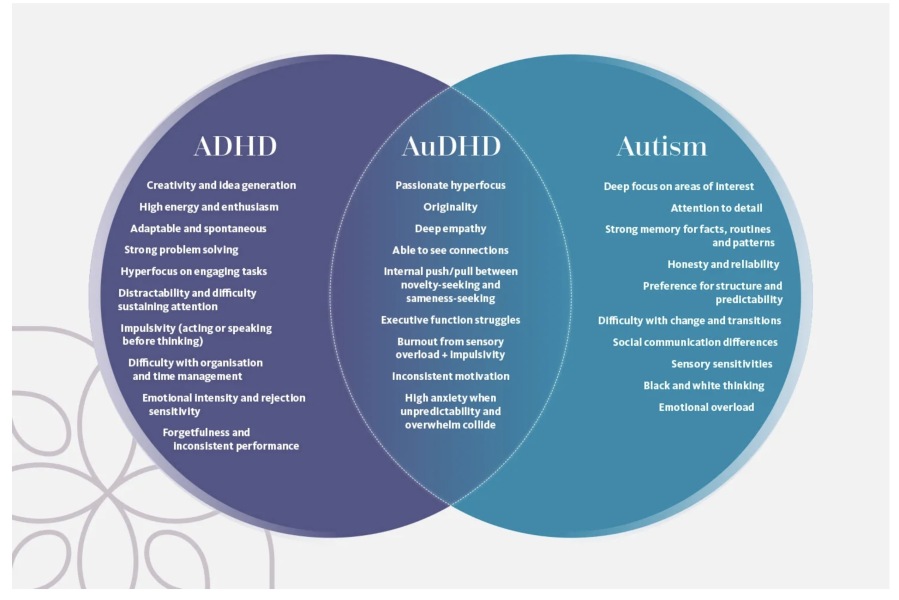 Jason Arday, Cambridge Plagiarist, thread two
