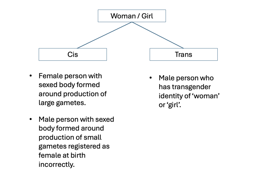 Why do some people view JK Rowling as transphobic?
