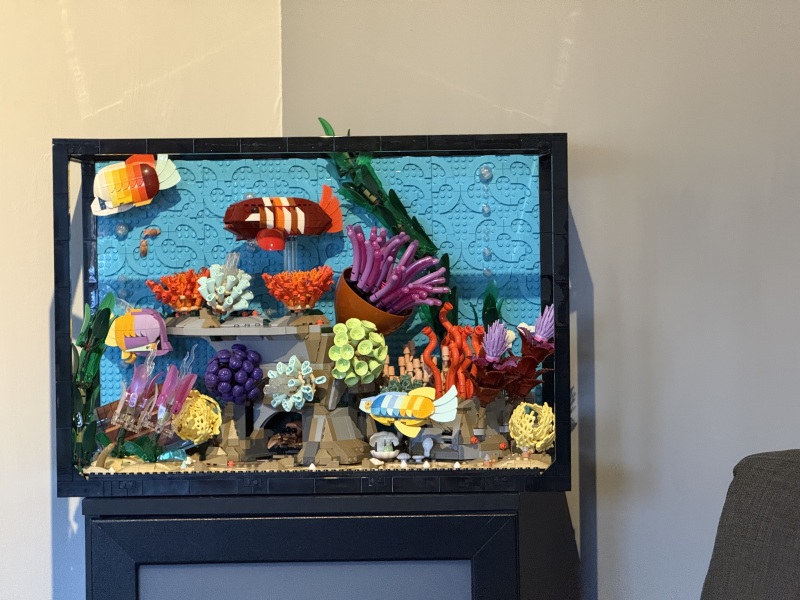 To show me your LEGO collection- Part 2
