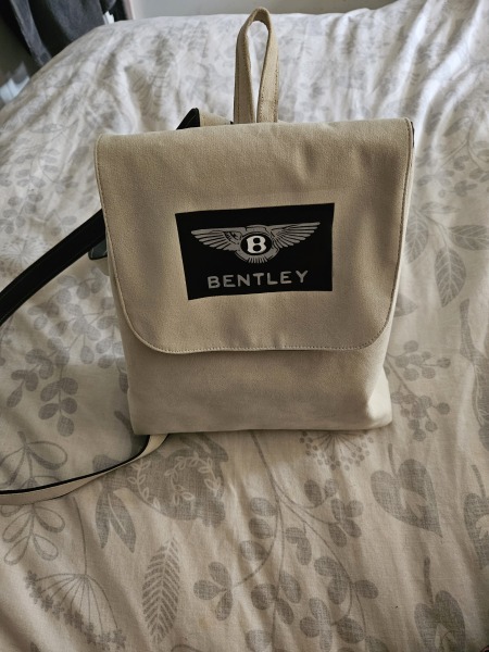 Status but every day handbag