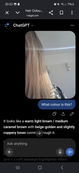 What colour is my hair (photo)