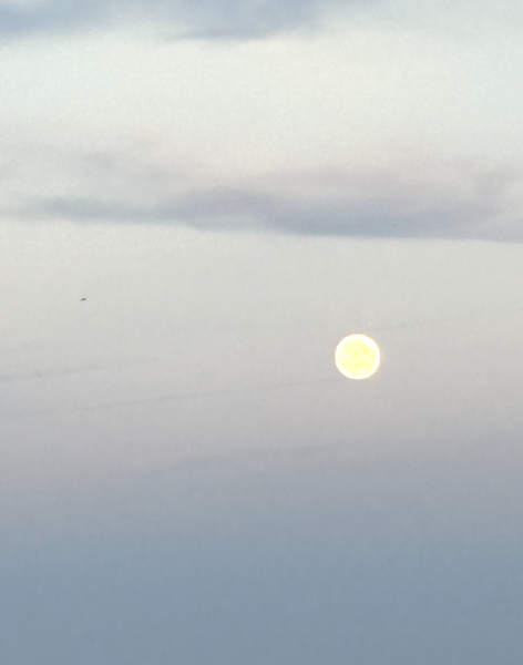 Lunar Eclipse !