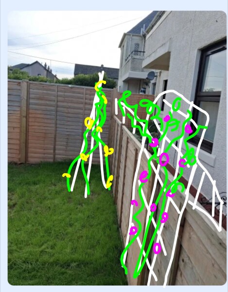 Adding trellis to stop neighbour intrusion