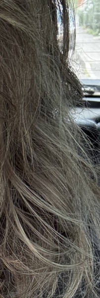 What colour is my hair (photo)