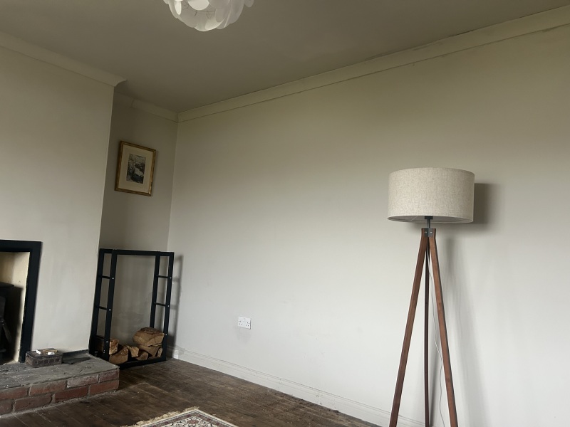 Can DIY painting achieve a professional finish for halls and downstairs?