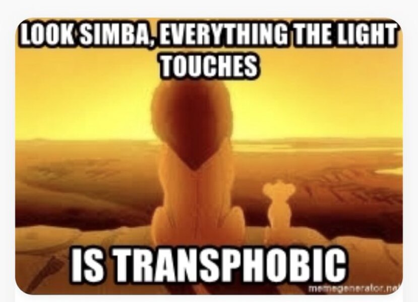 Why do some people view JK Rowling as transphobic?