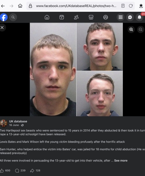 AIBU to think if we need to politely ask men not to rape women (or men), then we don't want such people in the UK?