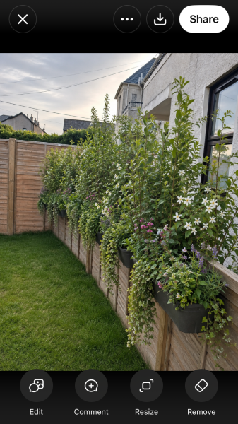 Adding trellis to stop neighbour intrusion
